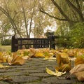 Herbstlaub am Steg