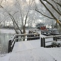 Winter am Steg