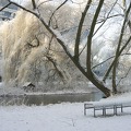 Winter am Weiher