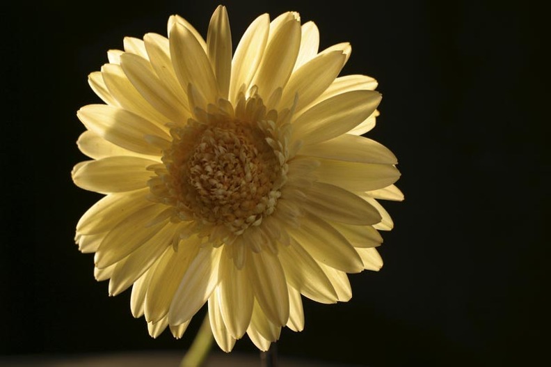 MS_00010.JPG
