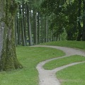 Wege