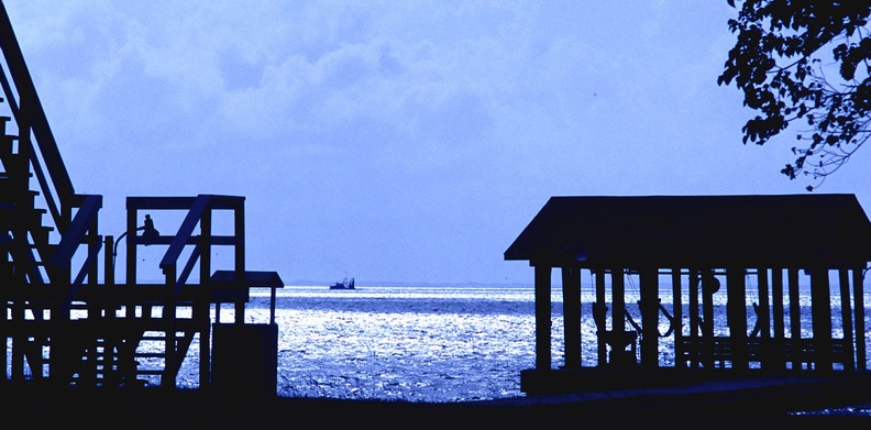 Scan44x.jpg
