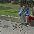 Vogelfütterung