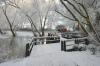 Winter am Steg
